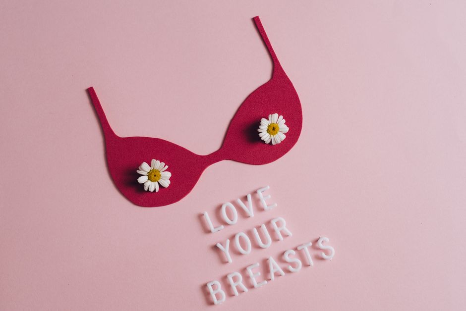 Which Breast Cancer Risk Factors Matter Most?