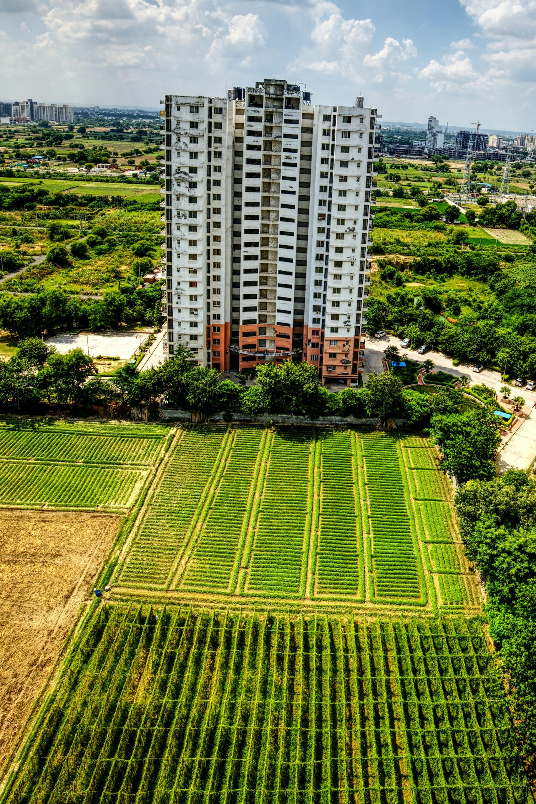 How Urban Farming Transforms Property Development: Economic, Social, and Environmental Impact
